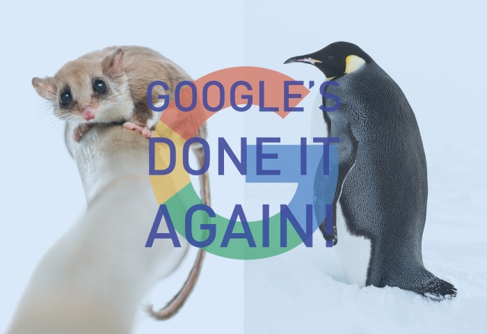 penguin and possum SEO google