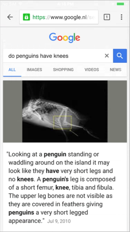 do penguins have seo success?